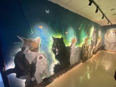 -猫腻·猫咖·撸猫馆(星光大道店)