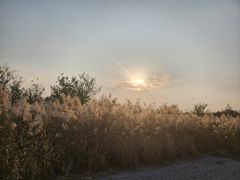 -天津东丽湖风景区