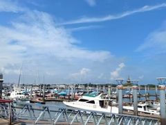 -渡海小渔村.老辈日照菜
