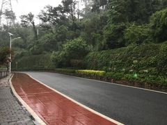 -仙岳公园