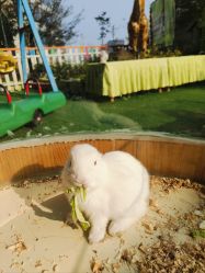 -可可天空农场(中大店)