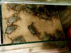-李记潮汕砂锅粥(营福路店)
