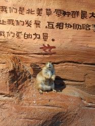 点击看大图 -奇幻萌宠部落(映月湖环宇城店)