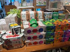 -番茄口袋(上海普陀区环球港店)