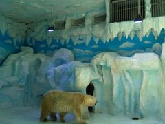 -芜湖新华联大白鲸海洋公园