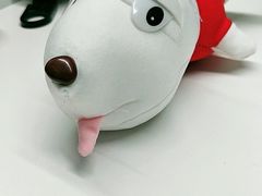 -CoCo都可(泗阳中央商场店)