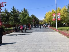 -大召寺明清一条街