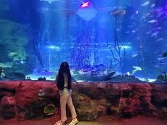 -沈阳海洋探索中心