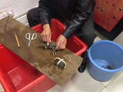 -阳澄湖大闸蟹·琼灵阁牌品牌连锁(吴中总店)