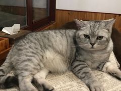 -隅cafe(傅厚岗店)
