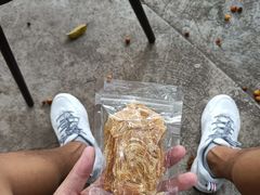 -柴犬高等学院·狗咖·柴犬售卖·宠物训练