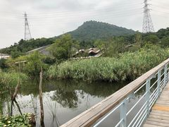 -西湖风景区-江洋畈生态公园
