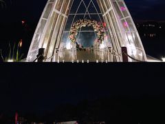 景点-大塘金香草谷