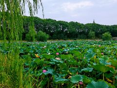 -苏州环秀晓筑养生度假村