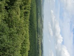 -塞罕坝国家级自然保护区