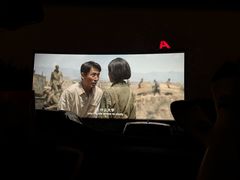 -枫花园汽车电影院(朝阳公园店)