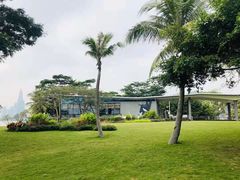 -福田红树林生态公园