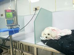 -天时宠物医院24小时疑难病例会诊中心(顾乡大街总院)