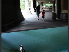 -新加坡飞禽公园
