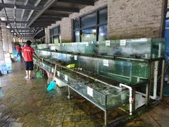 -钱大妈海鲜饭店(保利林语店)