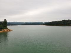 -广州市流溪河国家森林公园