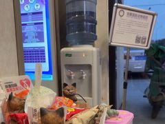 -宠爱国际动物医院·疑难骨科·心肾内科·皮肤科(太阳宫店)