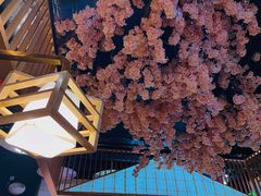 -一米空间·日式料理(逗号立方店)
