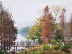 -海珠湖公园