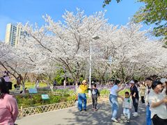 -白塘生态植物园