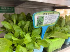 -清真军邺·金富苑肥牛(石坡街旗舰店)