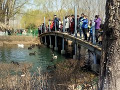 -长白岛森林公园