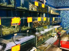 水产区-蚝专家(北滘店)