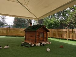 -萌宠亲子动物乐园(槐房万达店)