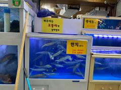 -西归浦每天偶来市场