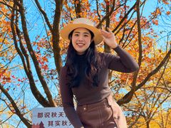 -田野绿世界