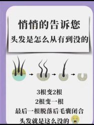 -Bollins波林丝•专研护发中心