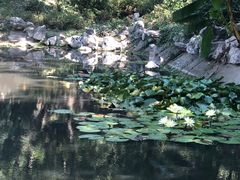 -南京老山国家森林公园
