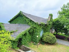 -莫干山风景区