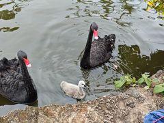 -海南热带野生动植物园