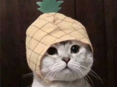 -奥特莱斯地下购物广场(旺角广场店)