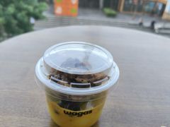 姜黄奇异芒果酸奶杯-Wagas沃歌斯(五道口购物中心店)