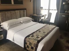 -长沙小天鹅戴斯酒店