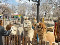 -水上乐园·欢乐世界