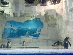 -华夏文旅海洋公园