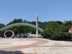 -南山植物园
