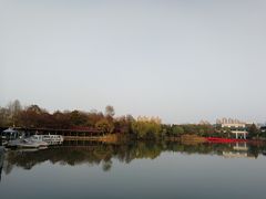 -青枫公园