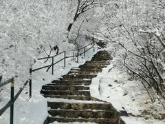 -香山公园