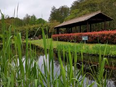-共青国家森林公园-售票处
