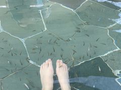 -苏州湾·王焰温泉