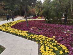 -黑龙江中医药大学